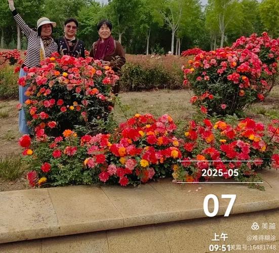 更新于 2025-05-08送花王铭汐姥姥蒋淑华 